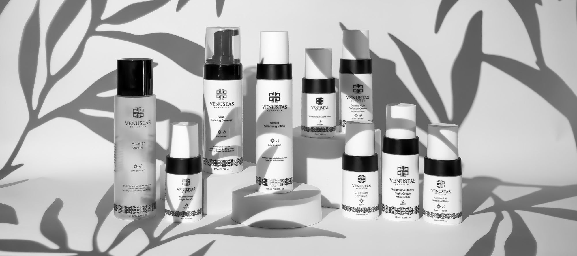 Venustas Estetica website header monochrome2